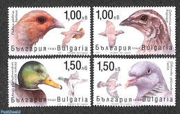 Bulgaria 2021 Birds 4v, Mint NH, Nature - Birds - Ducks - Poultry - Pigeons - Nuevos
