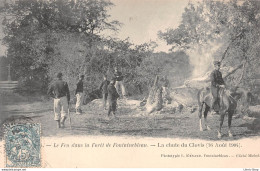 FORÊT De FONTAINEBLEAU (77) - Lot De 3 Cpa Sur L'Incendie Des 15 Et 16 Aout 1904 - Phototypie L. Ménard, Fontainebleau - Fontainebleau