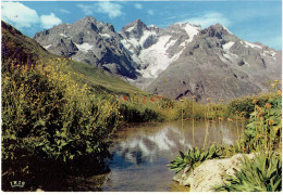 CPM FRANCE 05 HAUTES-ALPES DIVERS - Col Du Lautaret - Jardin Alpin Et La Meije - 1971 - Sonstige & Ohne Zuordnung