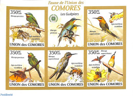 Comoros 2009 Bee Eaters 5v M/s, Imperforated, Mint NH, Nature - Birds - Comoros