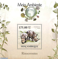 Mozambique 2010 Rhino's S/s, Mint NH, Nature - Animals (others & Mixed) - Rhinoceros - Mozambique
