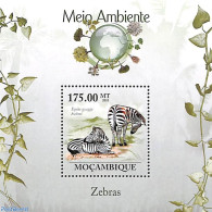 Mozambique 2010 Zebra S/s, Mint NH, Nature - Animals (others & Mixed) - Zebra - Mosambik