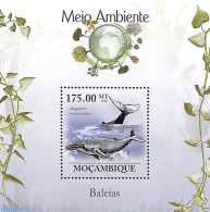 Mozambique 2010 Whales S/s, Mint NH, Nature - Sea Mammals - Mozambico