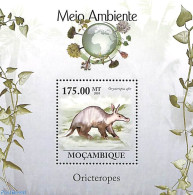 Mozambique 2010 Animals S/s, Mint NH, Nature - Animals (others & Mixed) - Mosambik