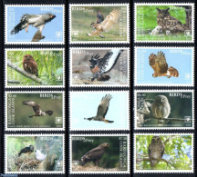Cook Islands 2018 Rarotonga, Birds Of Prey 12v (white Borders), Mint NH, Nature - Birds - Birds Of Prey - Owls - Otros & Sin Clasificación