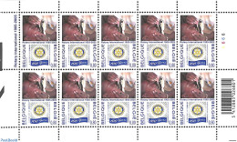 Belgium 2005 Rotary M/s, Mint NH, Various - Rotary - Nuevos