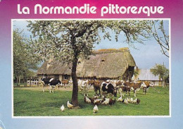 AK 210354 COW / KUH ... - La Normandie - Vaches