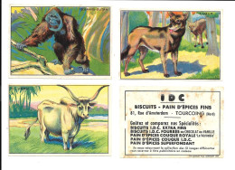 KB1559 - 3 IMAGES PAIN D'EPICE IDC TOURCOING - LOUP - ZEBU - ORANG OUTANG - Other & Unclassified