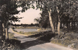 17 Le Chateau D'Oléron L'étang De La Plage Carte Vierge Non Circulé (Scans R/V) N° 16 \MO7001 - Ile D'Oléron