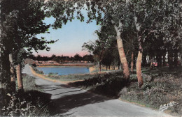 17 Le Chateau  D'Oléron L'étang Et La Plage  Carte Vierge Non Voyagé  (Scans R/V) N° 15 \MO7001 - Ile D'Oléron