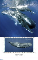 Guinea, Republic 2023 Whales, Mint NH, Nature - Sea Mammals - Autres & Non Classés