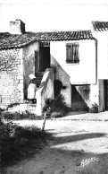 17 Saint Georges D’Oléron  DOMINO Vieille Maison Oléronaise (Scans R/V) N° 29 \MO7001 - Ile D'Oléron