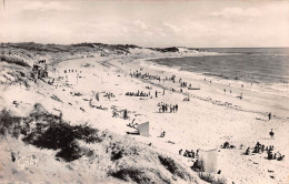 17 Saint Georges D’Oléron  DOMINO Grande Plage éd GABY (Scans R/V) N° 27 \MO7001 - Ile D'Oléron