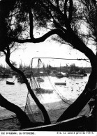 17 île D'Oléron  LA COTINIERE  Vue Du Port Non Circulé  (Scans R/V) N° 36 \MO7001 - Saint-Pierre-d'Oleron