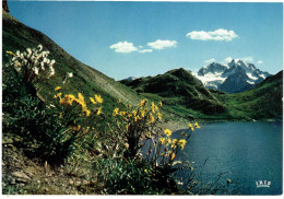 CPM FRANCE 05 HAUTES-ALPES LE MONETIER-LES-BAINS - Le Grand Lac De La Ponsonnière - Au Fond Les Ageaux - Sonstige & Ohne Zuordnung