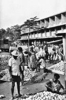 GUINEE Française Conakry  Marché Aux Oranges Konakry Guinea  (Scans R/V) N° 12 \MO7006 - French Guinea