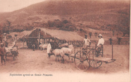 GUINEE Française Bétail Exploitation Agricole Carte Non Voyagé Tampon Michelin Au Dos (Scans R/V) N° 39 \MO7008 - French Guinea