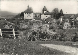 11666284 Kyburg Schloss Kyburg Kyburg - Autres & Non Classés