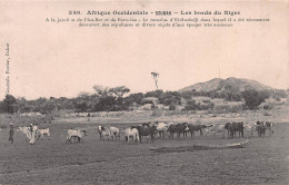 MALI Ex Soudan Jonction De L'Isa-Ber Et Du Bara-Isa Tumulus D'EL-OUAL Carte Vierge Non Circulé (Scans R/V) N° 55 \MO7010 - Malí