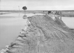 CONGO Belge Kilo Moto Inspection  Construction D'une Route Carte Photo Scans R/V) N° 37 \MO7011 - Congo Belge