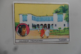 Chromo Série Colonies Françaises - Tunisie - Tunis Palais Du Bardo ? - Autres & Non Classés