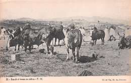 TCHAD Un Zébu De Fort Lamy Boeuf  (Scans R/V) N° 8 \MO7012 - Tchad