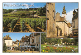 21 NUITS SAINT GEORGES Multivue Carte Vierge Non Circulé (Scans R/V) N° 5 \MO7014 - Nuits Saint Georges