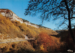 21 NUITS SAINT GEORGES Combe De LAVAUX Carte Vierge Non Circulé (Scans R/V) N° 9 \MO7014 - Nuits Saint Georges