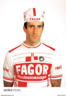 EQUIPE FAGOR 1987 - PEDRO MUÑOZ - PALMARES AU VERSO Cpm - Radsport
