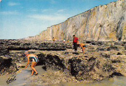 76 LE TREPORT  Mers Les Bains Recherche Des Crevettes Multivue (Scans R/V) N° 22 \MO7018 - Le Treport