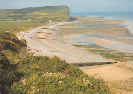 76 CRIEL SUR MER Vue Générale  (Scans R/V) N° 62 \MO7018 - Criel Sur Mer