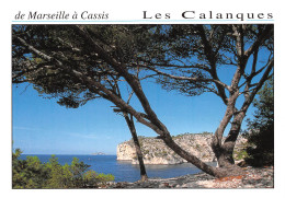 13 CASSIS Les Calanques  Carte Vierge Non Circulé (scan R/V) N° 58 \MO7021 - Cassis