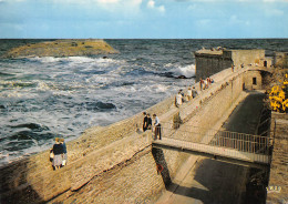 35 SAINT MALO Les Remparts  Carte Vierge Non Circulé (scan R\V ) N° 53 \MO7024 - Saint Malo