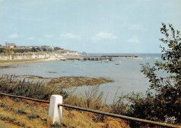 35 CANCALE L'anse Vue De La Corniche Carte Vierge Non Circulé (Scan R/V ) N° 42 \MO7027 - Cancale