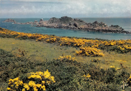 35 CANCALE  L'île Des Landes La Pointe Du Grouin  Carte Vierge Non Circulé (Scan R/V ) N° 71 \MO7027 - Cancale