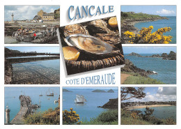 35 CANCALE  La Pointe Du Grouin Et Parc à Huitres  Carte Vierge Non Circulé (Scan R/V ) N° 76 \MO7027 - Cancale