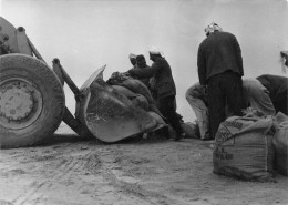 TURQUIE Travaux à Mersin  Année 1966 (scan R/V )  N° 77 \MO7028 - Turquie