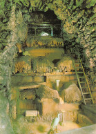 63 CLERMONT FERRAND Héron Pétrifié Grottes Pérou De Saint Alyre Carte Vierge Non Circulé (Scans R/V) N° 53 \MO7033 - Clermont Ferrand