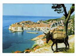 DUBROVNIK - Croatie - Croatia