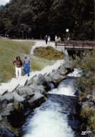 63 ROYAT Cascade Dans Le Parc   Carte Vierge Non Circulé    (Scans R/V) N° 19 \MO7035 - Royat