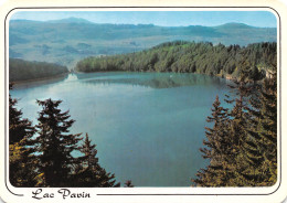 63  BESSE Le Lac PAVIN   Carte Vierge Non Circulé  (Scans R/V) N° 26 \MO7039 - Besse Et Saint Anastaise