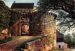 89 VEZELAY  La Porte Neuve Carte Vierge Non Circulé édition CAP  (Scans R/V) N° 36 \MO7044 - Vezelay