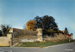 89 JOIGNY Les Remparts  Carte Vierge Non Circulé éditions La Cigogne (Scans R/V) N° 9 \MO7047 - Joigny