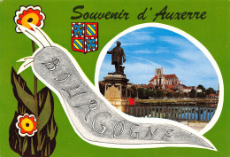 AUXERRE Souvenir Carte Vierge Non Voyagé éditions MAGE (Scans R/V) N° 55 \MO7048 - Auxerre