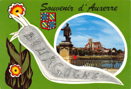 AUXERRE Souvenir Carte Vierge Non Voyagé éditions MAGE (Scans R/V) N° 56 \MO7048 - Auxerre