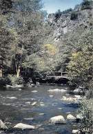 89 AVALLON Pont Des Gardes Vallée Du Cousin Carte Vierge Non Circulé édition C.D (Scans R/V) N° 22 \MO7049 - Avallon