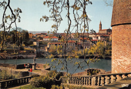 81 ALBI Jardins  De La Berbie Carte Vierge Non Circulé édition Théojac  (Scans R/V) N° 14 \MO7051 - Albi