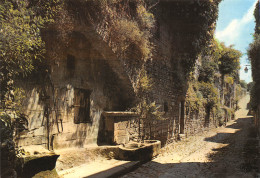 81 Cordes-sur-Ciel Vieille Rue De La Cité Cathare Carte Vierge édition Apa-Poux Albi (Scans R/V) N° 57 \MO7052 - Cordes