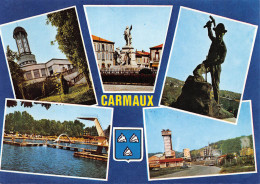 81 CARMAUX Multivue  Carte Vierge éditions Apa-Poux (Scans R/V) N° 52 \MO7054 - Carmaux