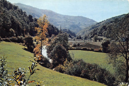 64 SAINT JEAN PIED DE PORT Mont Anhaux Route Arneguy Carte Vierge Non Circulé édition CD (Scans R/V) N° 51 \MO7056 - Saint Jean Pied De Port